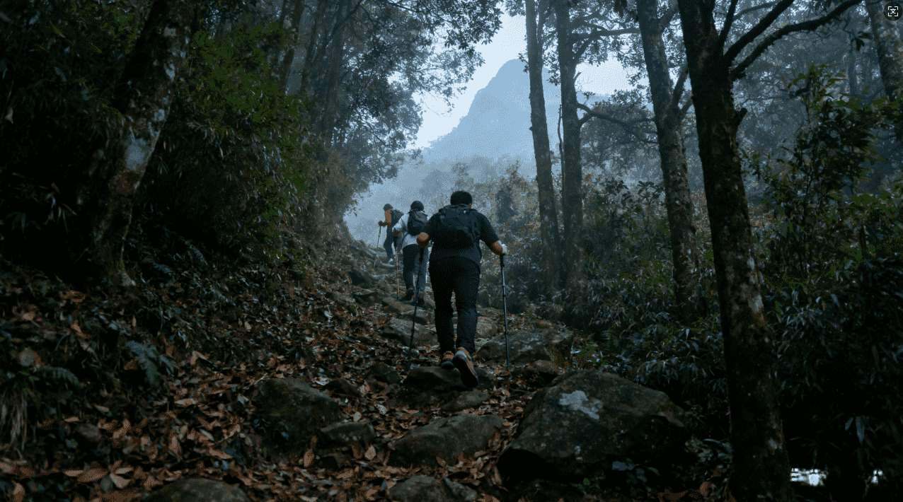 旋风加速器永久免费版下载安装指南